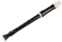 Aulos Descant Recorder 205A Robin - Premium School Recorder