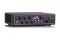 Aguilar Amplifier Tone Hammer 500 Breast Cancer Awareness Ltd. Edition