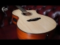 Faith Guitars | Natural Neptune | FNCE