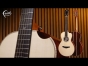 Faith Guitars | HiGloss Mercury | Electro Scoop | FMEHG3-BNC