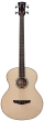 Faith Titan Natural Acoustic Bass Electro