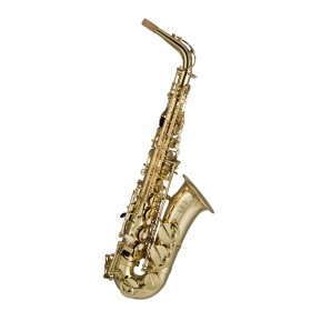 Artemis A1 Alto Sax Outfit - Gold Lacquer