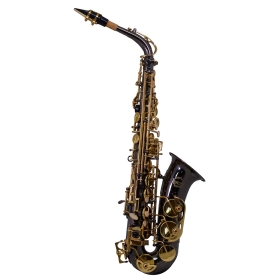 Artemis A1 Alto Sax Outfit - Black. Gold Lacquer Keys