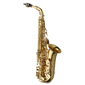 Yanagisawa Alto Sax Elite - Brass