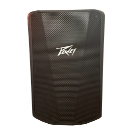 Peavey PBK Series 15 BT. Performer Pack