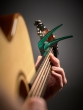 G7th Capo Nashville Acoustic / Electric Guitar - Green