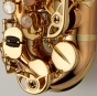 Yanagisawa Soprano Sax Curved - Elite Bronze Unlacquered