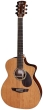 Faith Legacy Earth Electro - 2-Piece Rosewood