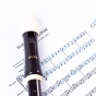 Aulos Treble Recorder 209B Robin