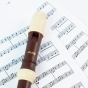 Aulos Descant Recorder 703BW Haka