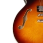 Gould Union Vintage Burst