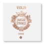 Jargar Violin D String. Evoke Series Medium - 4/4 Size