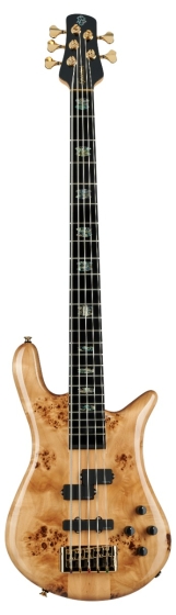 Spector Bass Euro 5 CST Natural Gloss