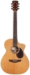 Faith Legacy Earth Electro - 2-Piece Rosewood