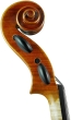 J.T.L Violin 4/4 Violons de Maître - Guarnerius